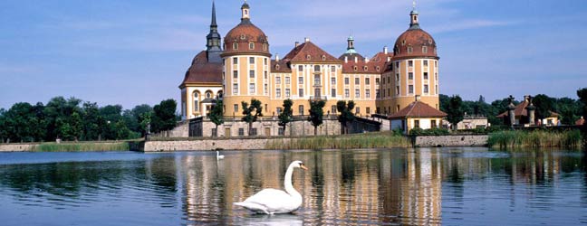 Curso para profesores de idiomas en Alemania para estudiante Universitario