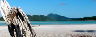 Un semestre intensivo en el extranjero en Australia para adulto - Langports- Surf Paradise