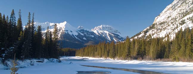 Cursos de Inglés en Canada para un junior