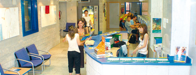 Curso de idiomas en Alicante (Alicante en España)