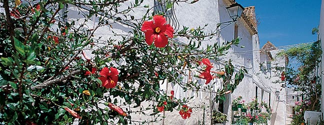 Cádiz - Escuela de idiomas en Cádiz