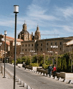 Salamanca (Región) - Inmersión total en Salamanca en casa del profesor para un mayor de 50 años