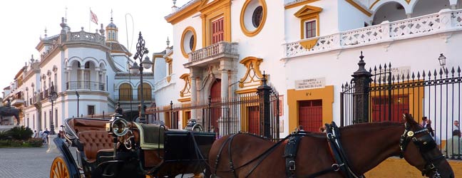 Sevilla - Curso en Sevilla en una escuela de idiomas para un estudiante Universitario