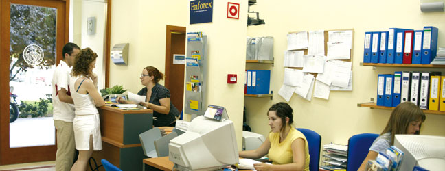 Curso en Valencia en una escuela de idiomas para un profesional (Valencia en España)