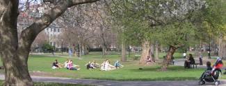 Curso En Estados Unidos para un niño Boston
