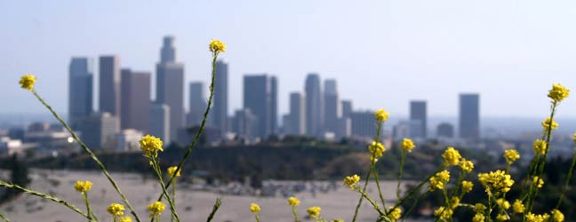 Los Angeles - Viajes de idiomas en Los Angeles para un estudiante de Bachillerato