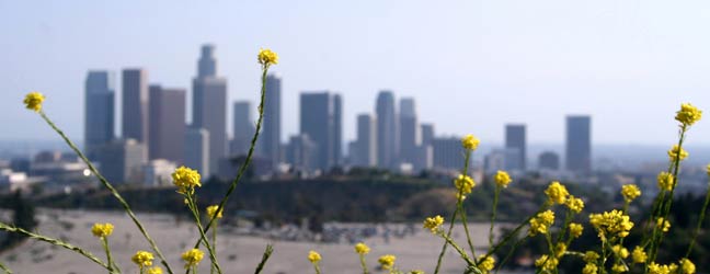 Los Angeles - Viajes de idiomas en Los Angeles para un niño