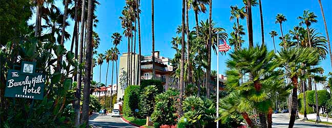 CEL Santa Monica- LA para estudiante Universitario (Los Angeles en Estados Unidos)