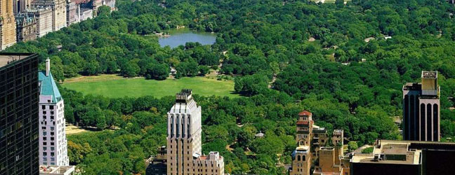 Nueva York (Región) - Inmersión en casa del profesor En Nueva York