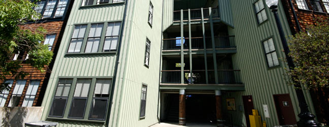 Campamento de verano CISL - Universidad de San Francisco Berkeley (San Francisco En Estados Unidos)