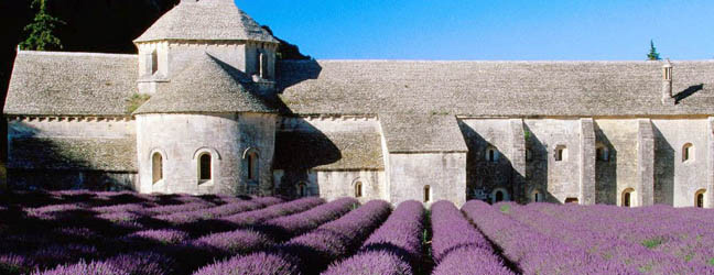 Cursos de Francés en Francia para un mayor de 50 años