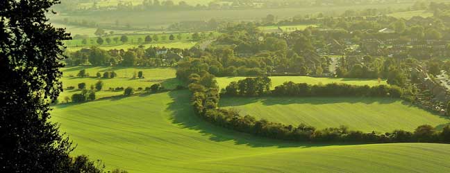 Buckinghamshire - Inmersión en casa del profesor En Buckinghamshire