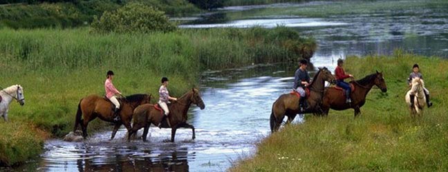 Inglés de negocios en Irlanda para profesional