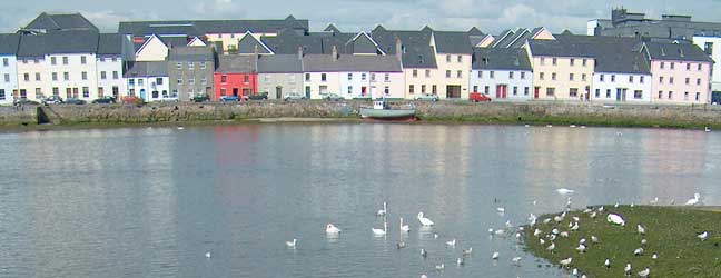 Galway (Región) - Inmersión total en Galway en casa del profesor para un niño