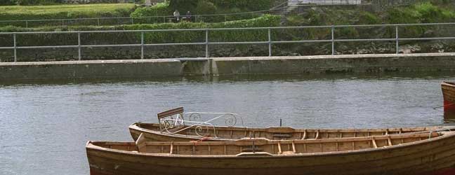 Galway (Región) - Inmersión en casa del profesor En Galway
