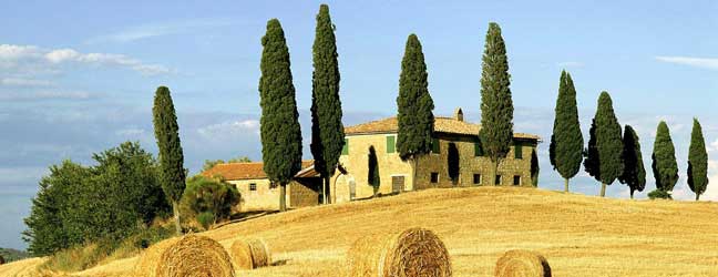 Cursos en casa del profesor especial Navidad y Año Nuevo en Italia para mayor de 50 años para mayor de 50 años