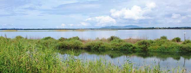 Orbetello - Curso en Orbetello para un estudiante de Bachillerato