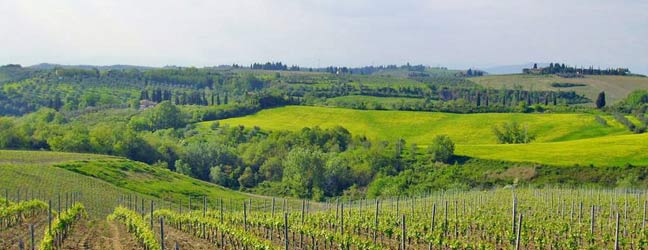 Toscana - Inmersión total en Toscana en casa del profesor para un niño