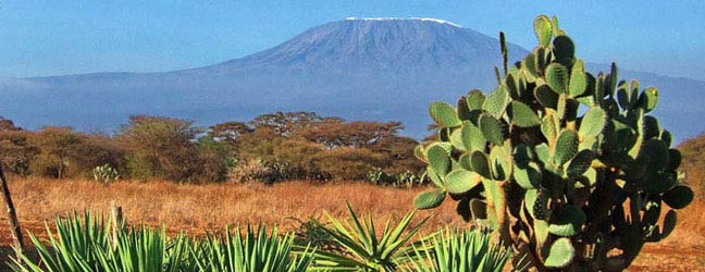 Curso en casa del profesor en Sudáfrica para adulto