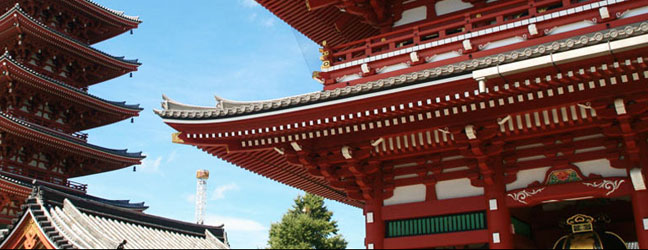 Cursos de Japonés en casa del profesor para un mayor de 50 años